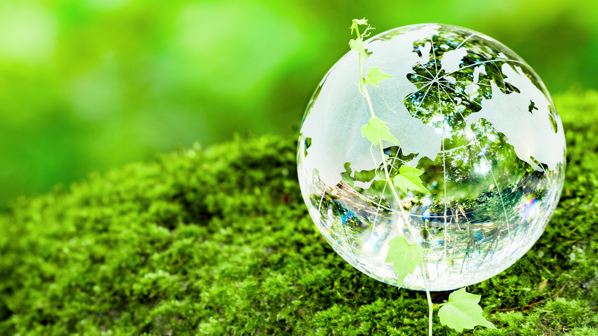 Glass: the protagonist of the ecological transition and industrial sustainability
